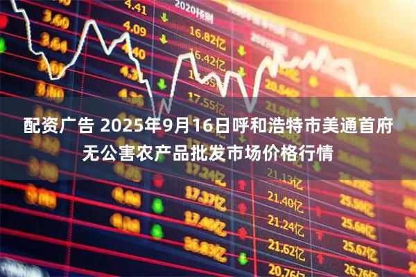 配资广告 2025年9月16日呼和浩特市美通首府无公害农产品批发市场价格行情