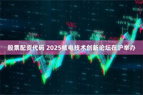 股票配资代码 2025核电技术创新论坛在沪举办