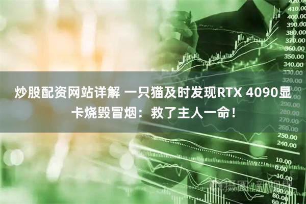 炒股配资网站详解 一只猫及时发现RTX 4090显卡烧毁冒烟：救了主人一命！