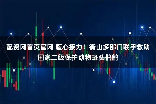 配资网首页官网 暖心接力！衡山多部门联手救助国家二级保护动物斑头鸺鹠
